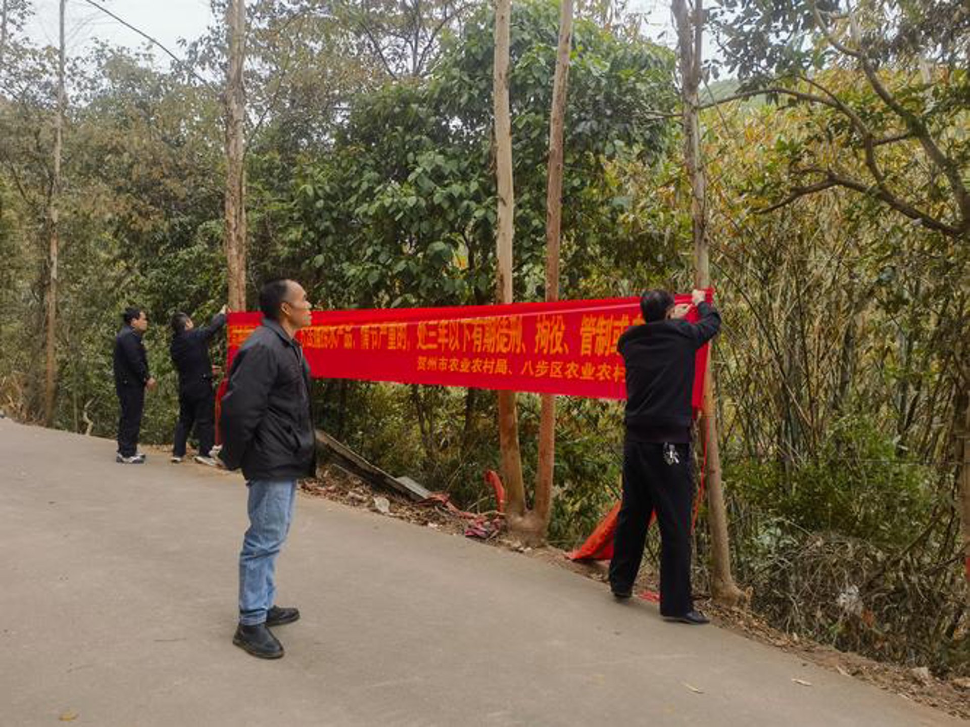 光亚现代农业